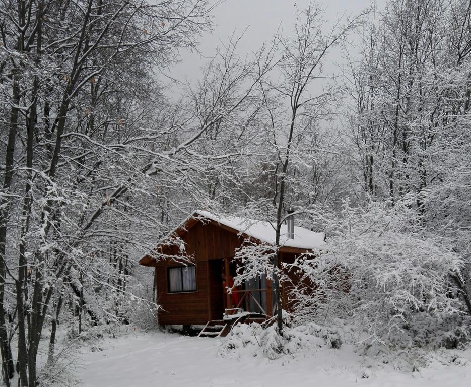 Cabanas Inaki Villa Las Trancas Exteriör bild